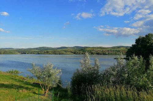 Danube Fairy With Pool