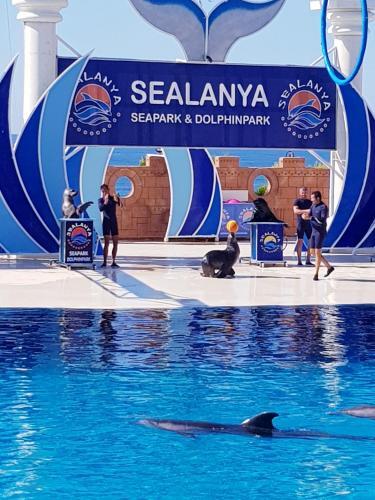 Apartamento Granada City Alanya Luxury Appartment 800? ?? ????? ?????????