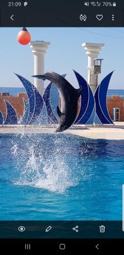 Apartamento Granada City Alanya Luxury Appartment 800? ?? ????? ?????????