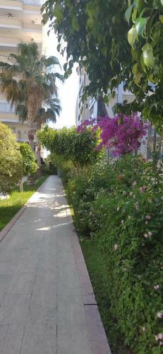 Apartamento Euro5 Residence Mahmutlar-alanya