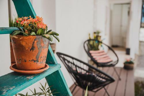 Apartment Dajana