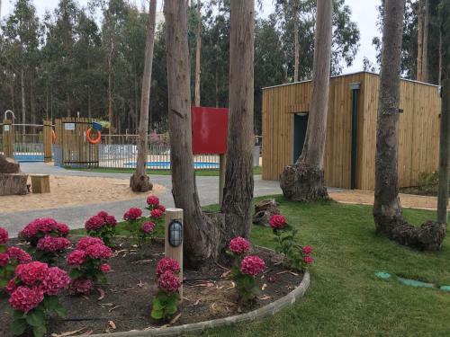 Apartamento Departamento Algarrobo Los Olivos