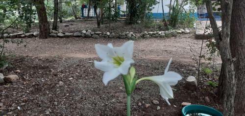 Agroturismo Laureana Hotel Campestre