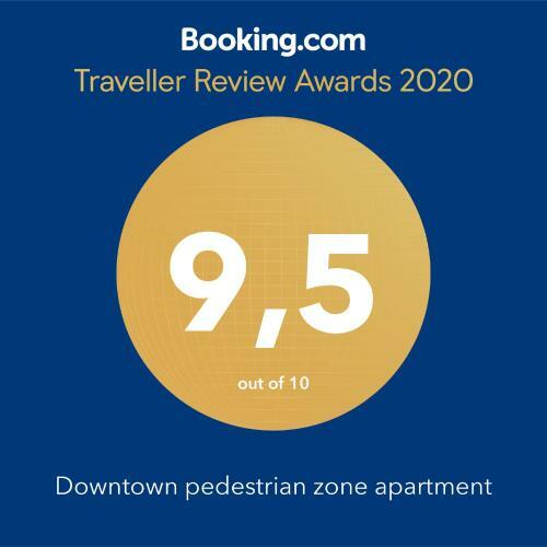 Downtown Pedestrian Zone Apartment