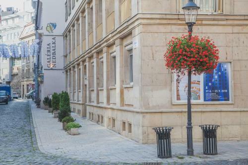 Downtown Pedestrian Zone Apartment