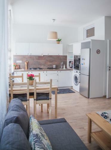 Downtown Pedestrian Zone Apartment