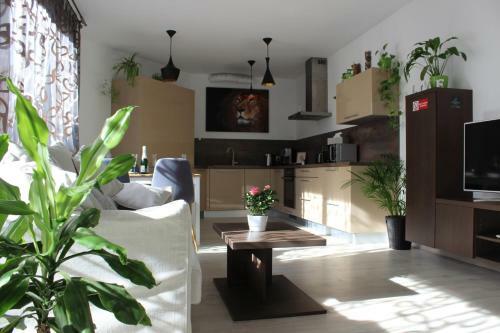 Leo Apartment - 29. Augusta 2a