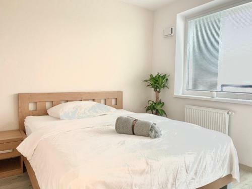 Elegant, Bright Spacious Apartment In Bratislava Center