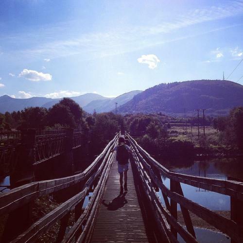 Chase The Wild Goose Hostel