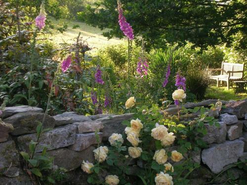 Kilbury Manor B&B