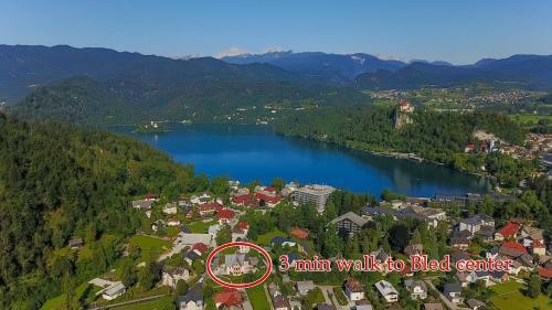Tamara Luxury Apartments