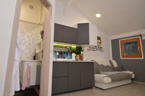 Apartma Sova