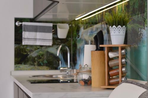 Apartma Sova