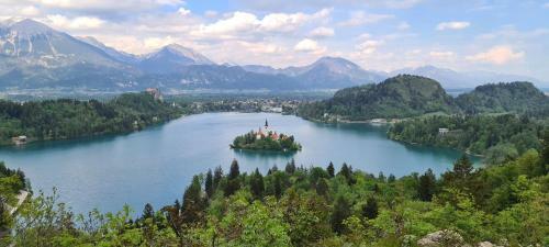 Apartma Sova