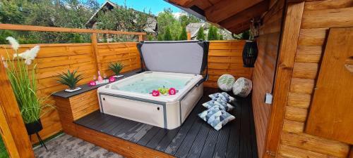 Apartma Sova