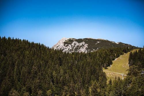 Apartments Zvoh, Krvavec, Ski-in, Ski-out