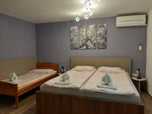 Apartma ?irovnik