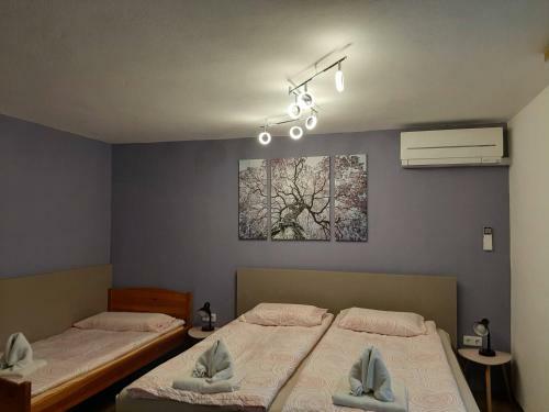 Apartma ?irovnik