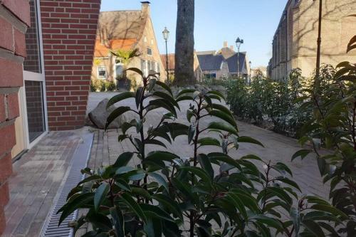 Apartamento B Brinkzicht Diever, Heerlijk In Het Centrum