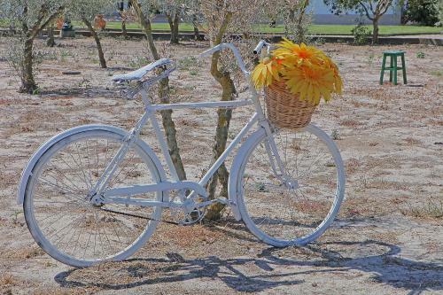 Agroturismo Quinta Da Pinheira Lez�ria