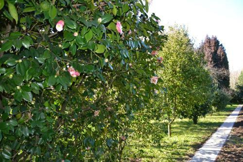 Bed & Breakfast Quinta D'av� Am�lia