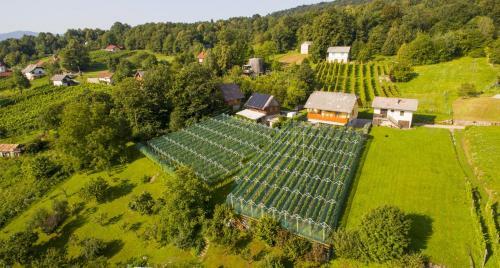 Vineyard Cottage Stepan