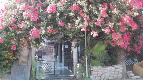 Hotel Gunay Pansiyon