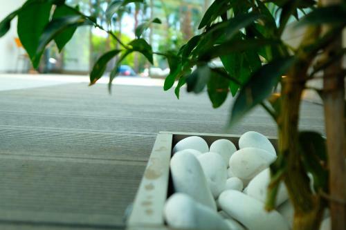 Apartamento Vega Suites