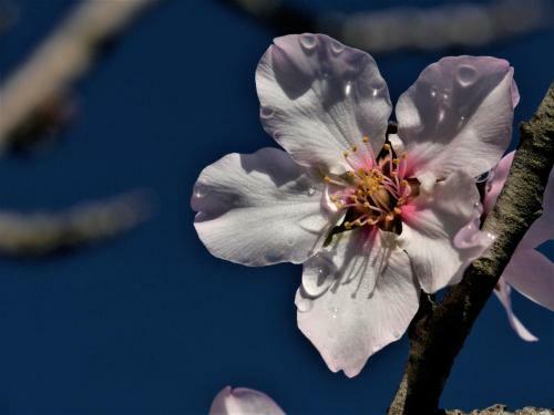 B&B Casa Escondida