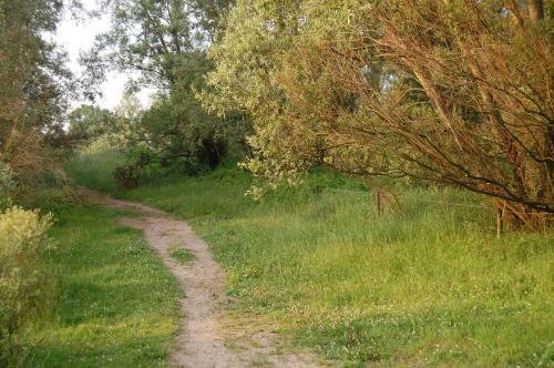 Pipowagen/paardentram