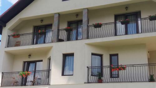 Villa Vila Puiu Borsa Mm
