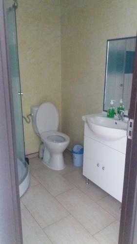 Villa Vila Puiu Borsa Mm