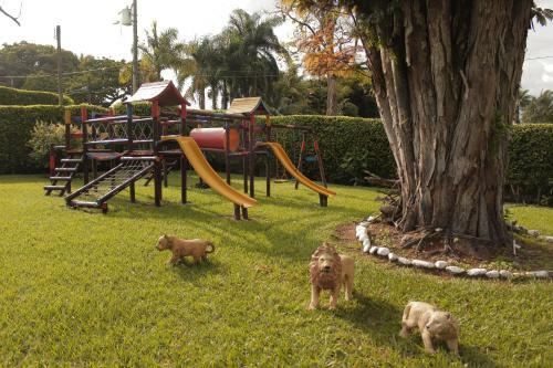 Hotel Chalet El Castillo