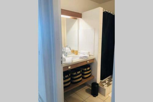 Apartamento Le Diamant Bleu_charmant T2 � Cayenne _baduel