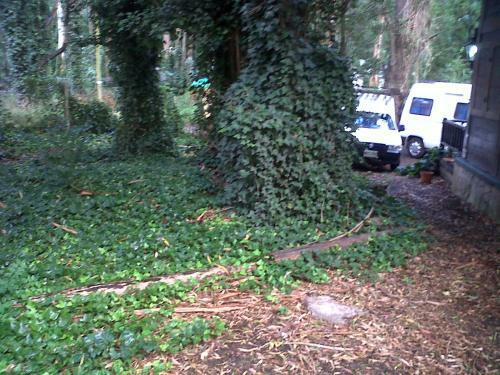 Complejo Caba�a Casas Para�so Familiar
