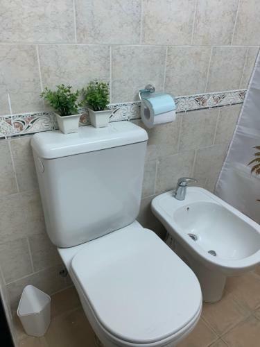 Apartamento Leloir Violet