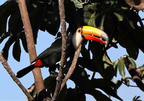 Apartamento Vila Dos Cristais