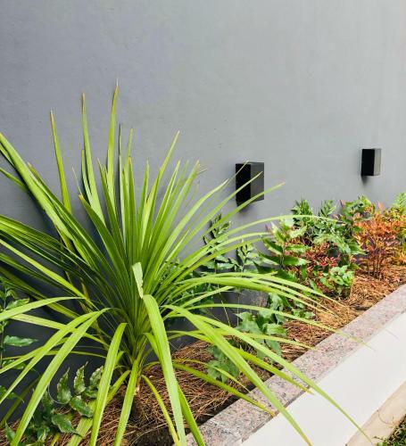 Apartamento Nuevo Departamento En Olavarr�a