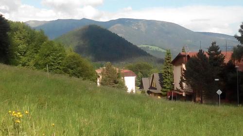 Almet, Apartm�nove ?t�dio 205
