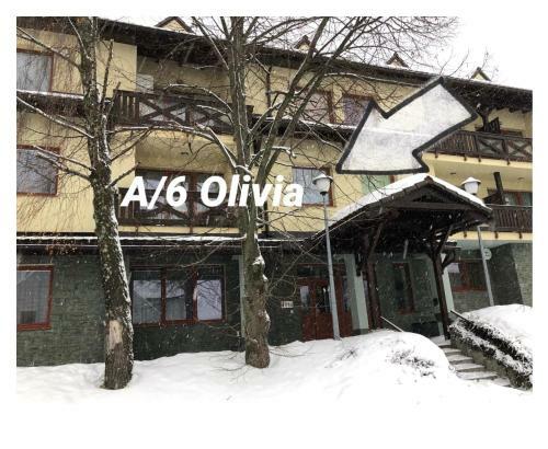 Apartment Olivia