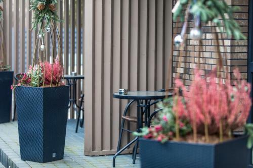 Apartamento Amber Drop