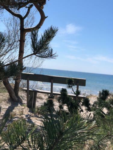 Apartamentai Sunny Beach