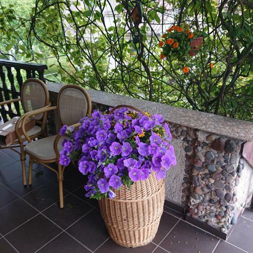 Hostal Poilsio Namai