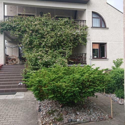 Hostal Poilsio Namai