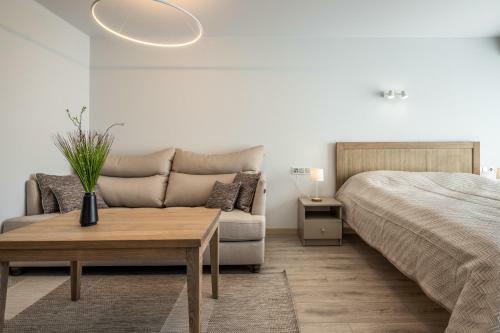 Apartamentai Druskinink? 7b