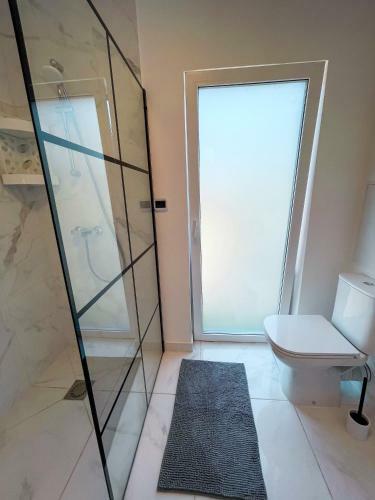 Villa Dream House Palanga With Private Swimming Pool