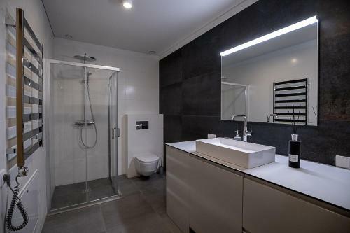Spacious Luxury Loft Apartament In City Center