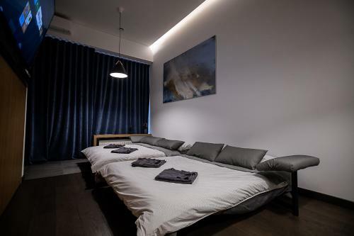 Spacious Luxury Loft Apartament In City Center