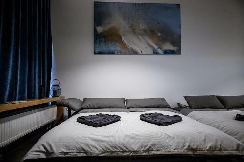 Spacious Luxury Loft Apartament In City Center