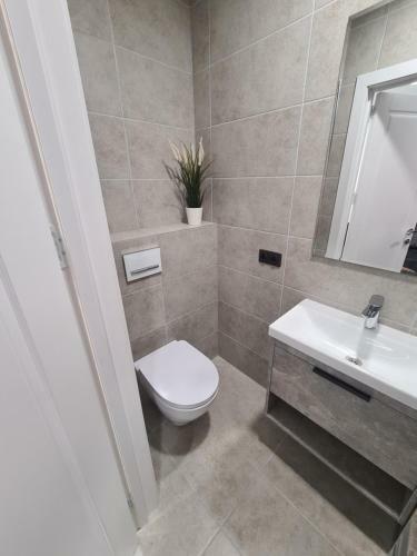 Vasaros Studio Apartamentai